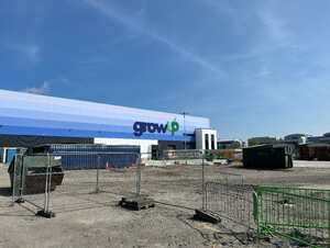 grow up factory